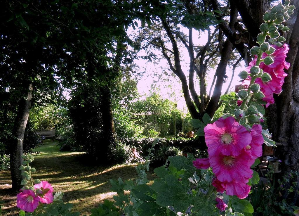 La Claverie Sainte-Radégonde-des-Noyers Esterno foto